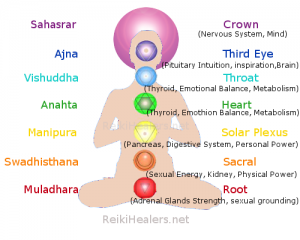 Strength of Life Seven Chakras