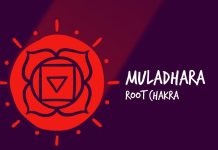 Root Chakra / Muladhara Chakra