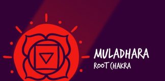 Root Chakra / Muladhara Chakra