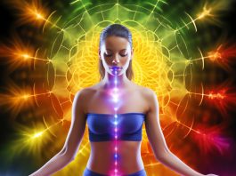 physical, mental, and financial wellness